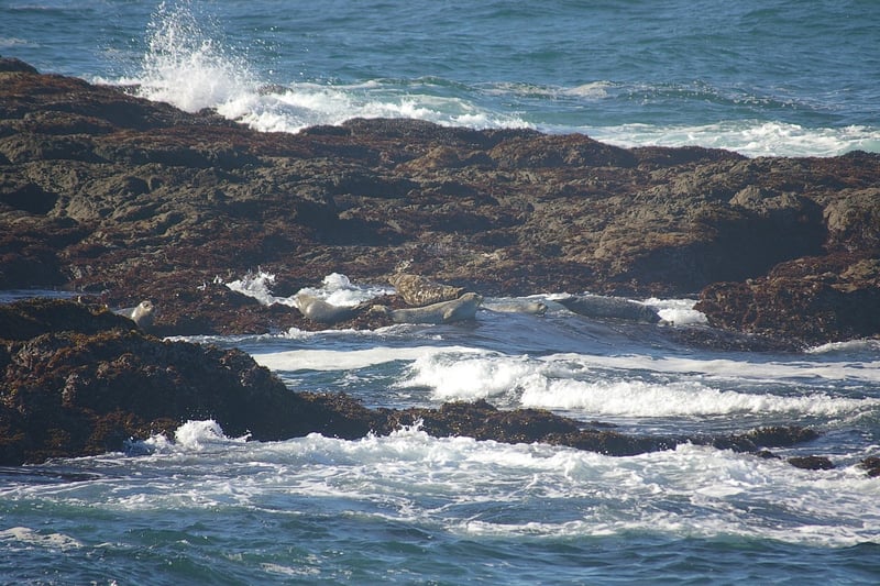 Glass Beach, California, USA